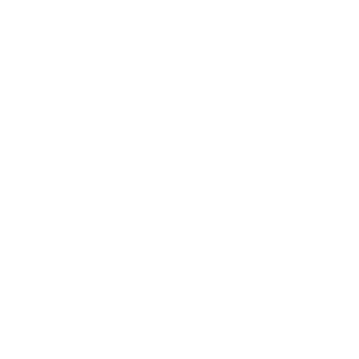 Deutsche Sportjugend im DOSB