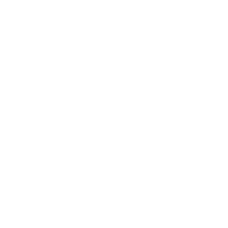 DAP Akademie